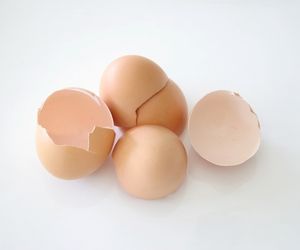 can dogs eat Egg Shells safely