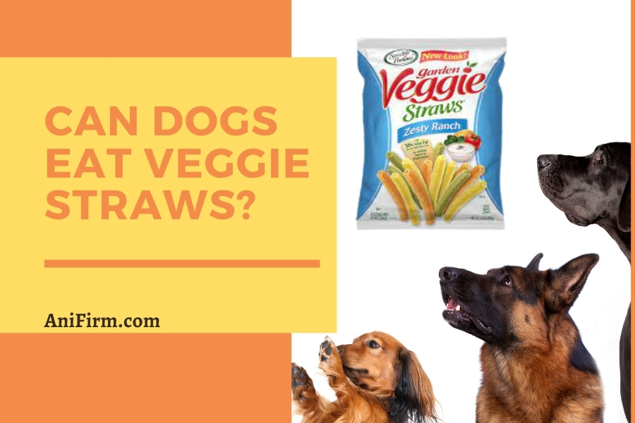 Can Dogs Eat Veggie Straws