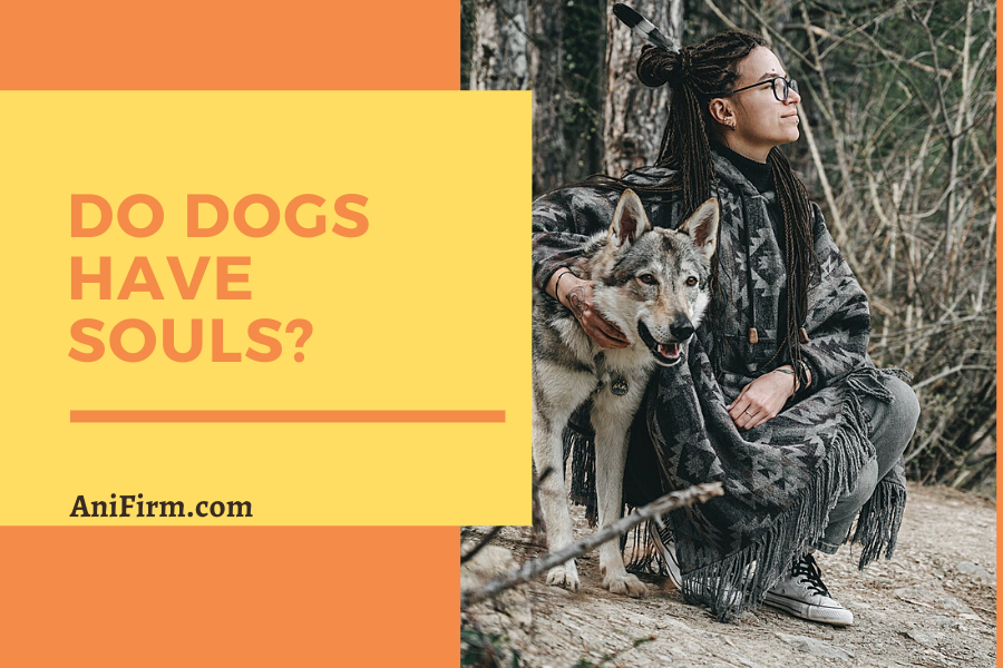 Do Dogs Have Souls?