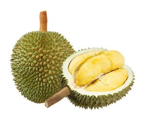 Can Dog Eat Durian