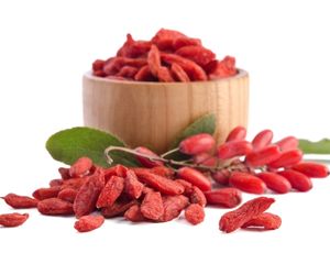 Can Dog Eat Goji Berries