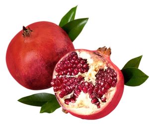 Can Dog Eat Pomegranates