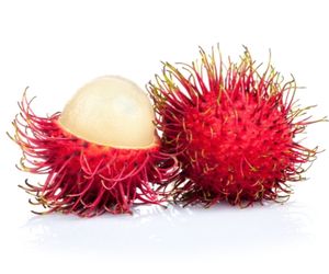 Can Dog Eat Rambutan