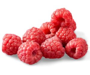 Can Dog Eat Raspberries