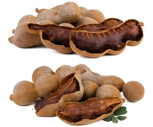 Can Dog Eat Tamarind