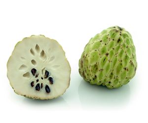 Can dog eat Custard Apples