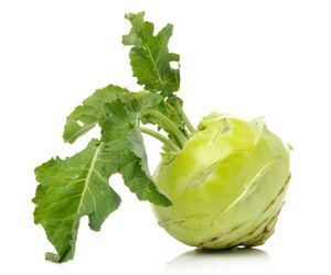 can dog eat Kohlrabi