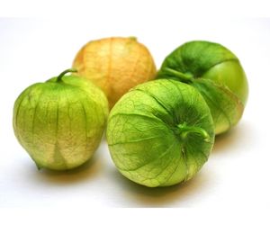 Can dog eat Tomatillo