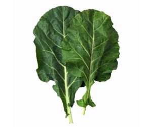 can dog eat collards