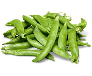 can dog eat edamame and soybeans