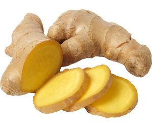 Can dog eat ginger root