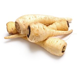 Can dog eat parsnips