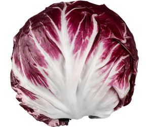 Can dog eat radicchio