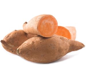 Can dog eat sweet potatoes