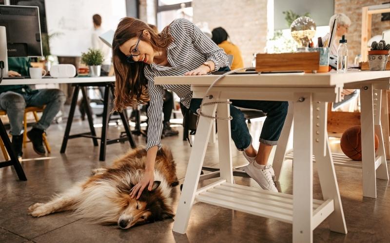 get work from home for adopting a dog