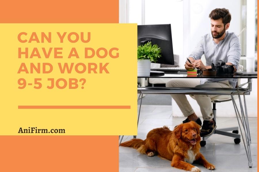 having a dog and working 9-5 job