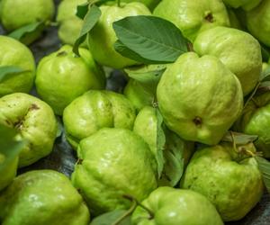 Thai Guava