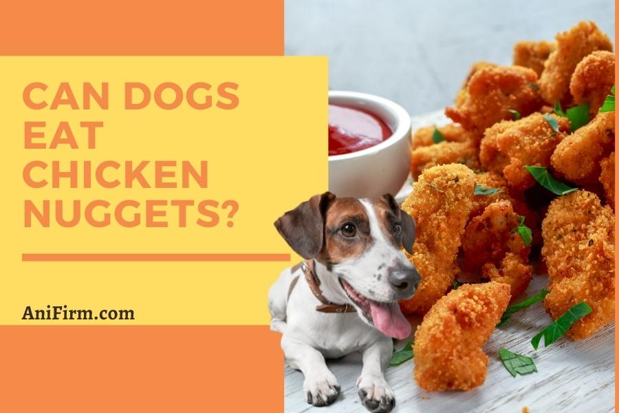 can dogs eat chicken nuggets