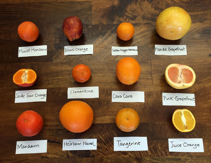 types of oranges