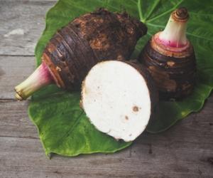 what is taro root