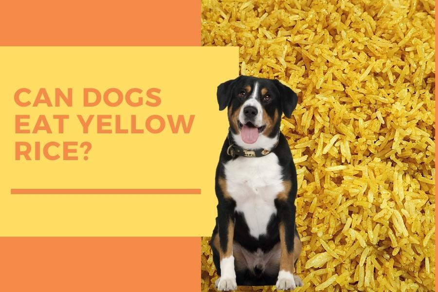 can dogs eat yellow rice