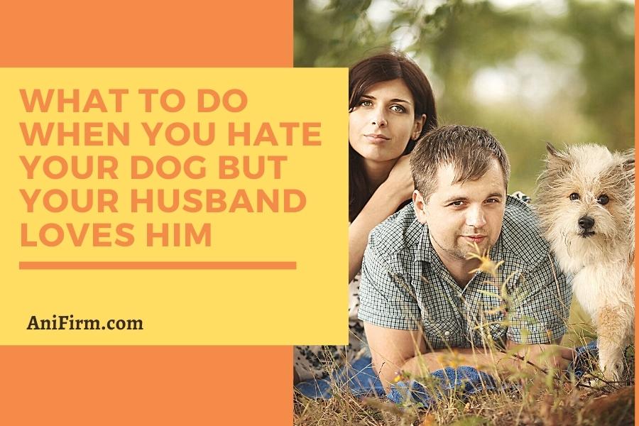 I hate my dog but my husband loves him