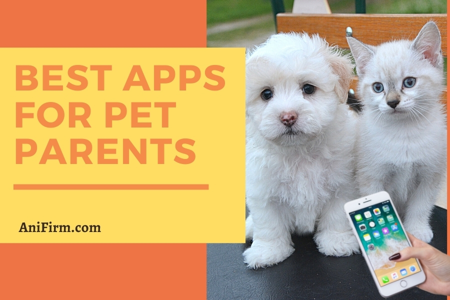 best apps for dog, cat and pet lovers