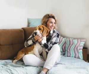 dog rewarded for sitting on couch