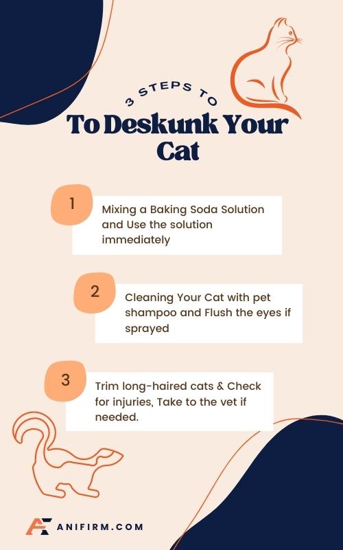 3 steps To Deskunk Your Cat